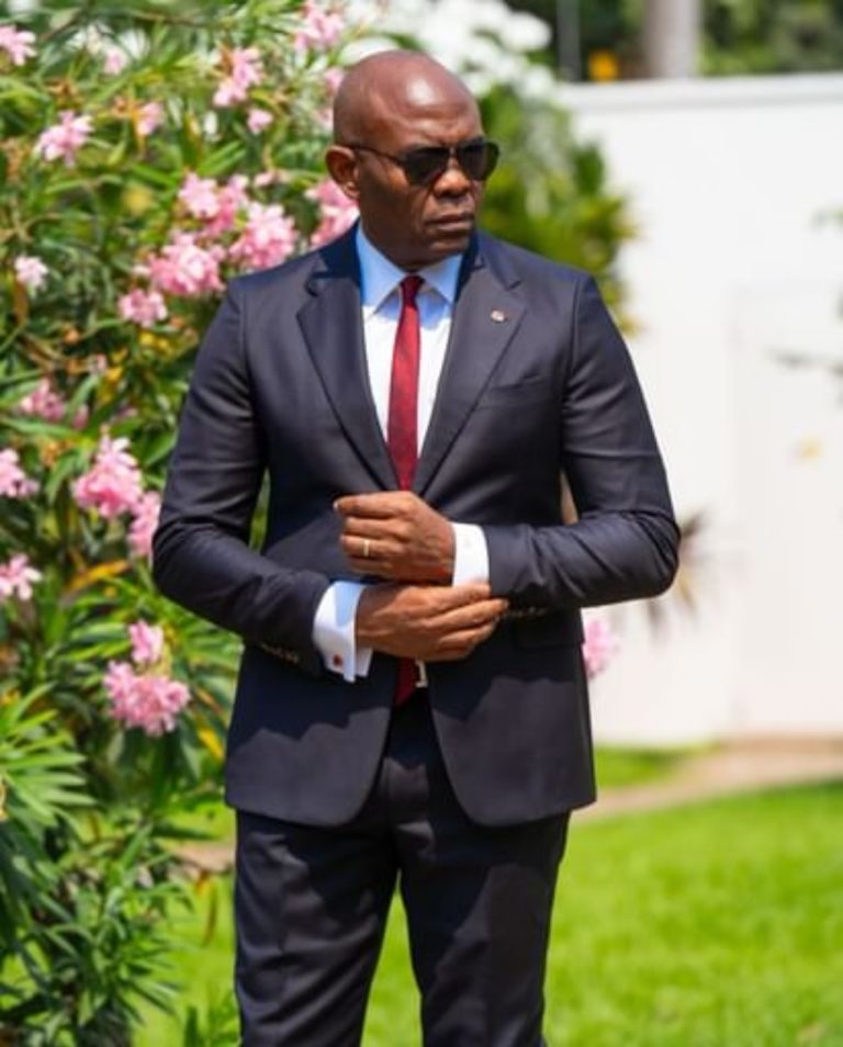 Tony Elumelu Biography, Net Worth, Age, Wiki And Wife